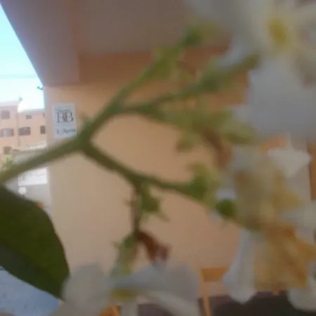 Bed & Breakfast Le Murate