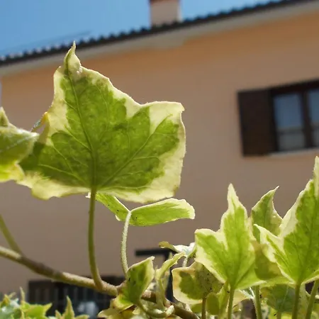 Le Murate Bed & Breakfast Coppito